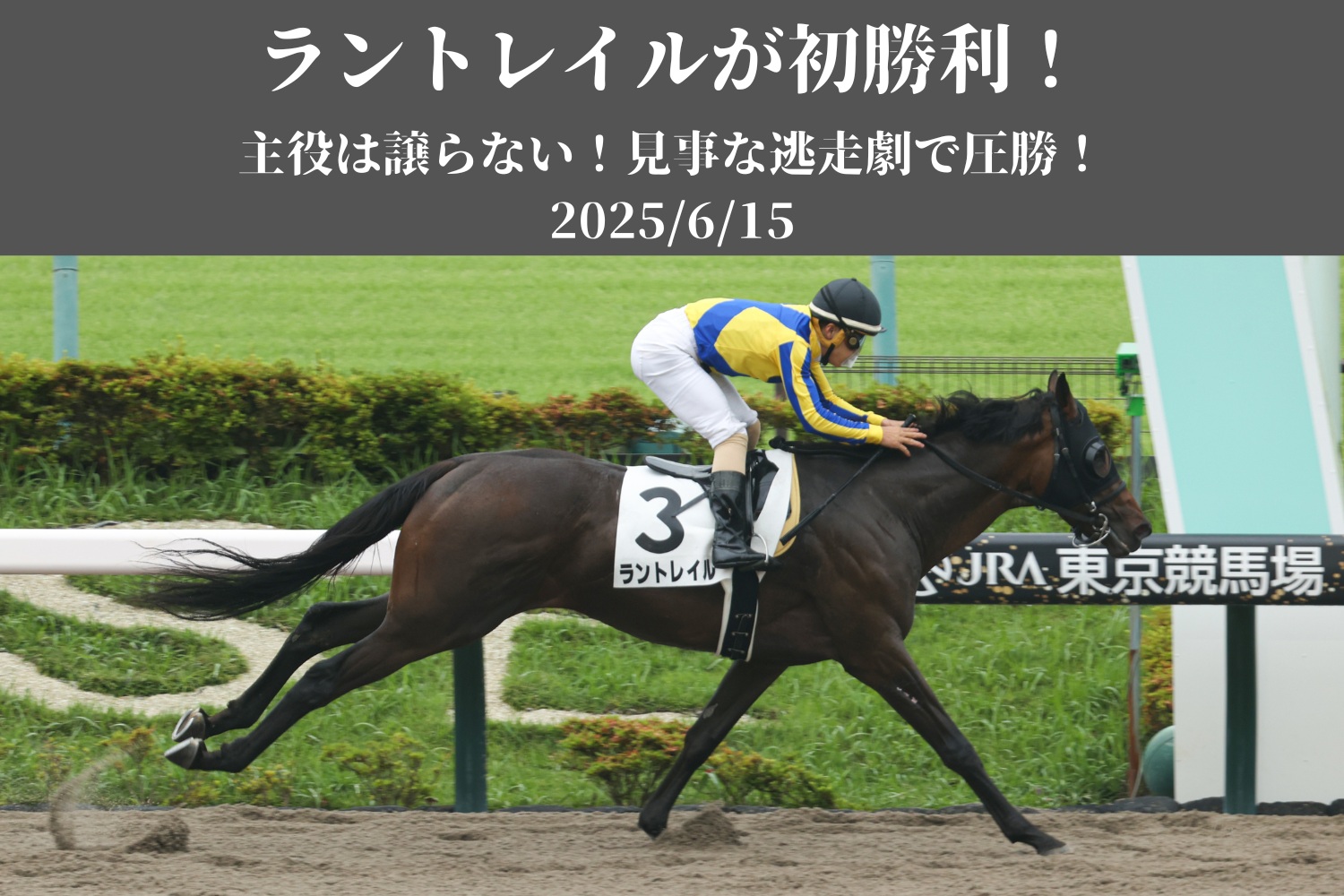 トップカルーセル 11