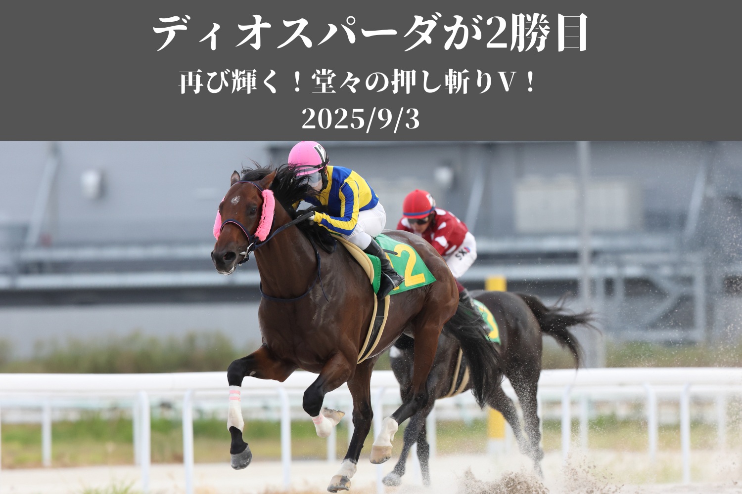 トップカルーセル 10
