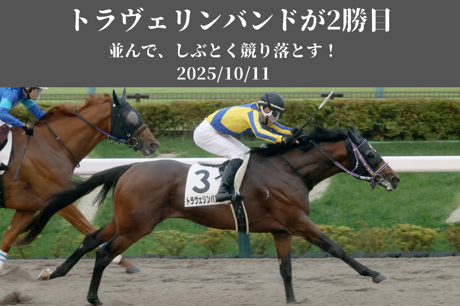 トップカルーセル 9