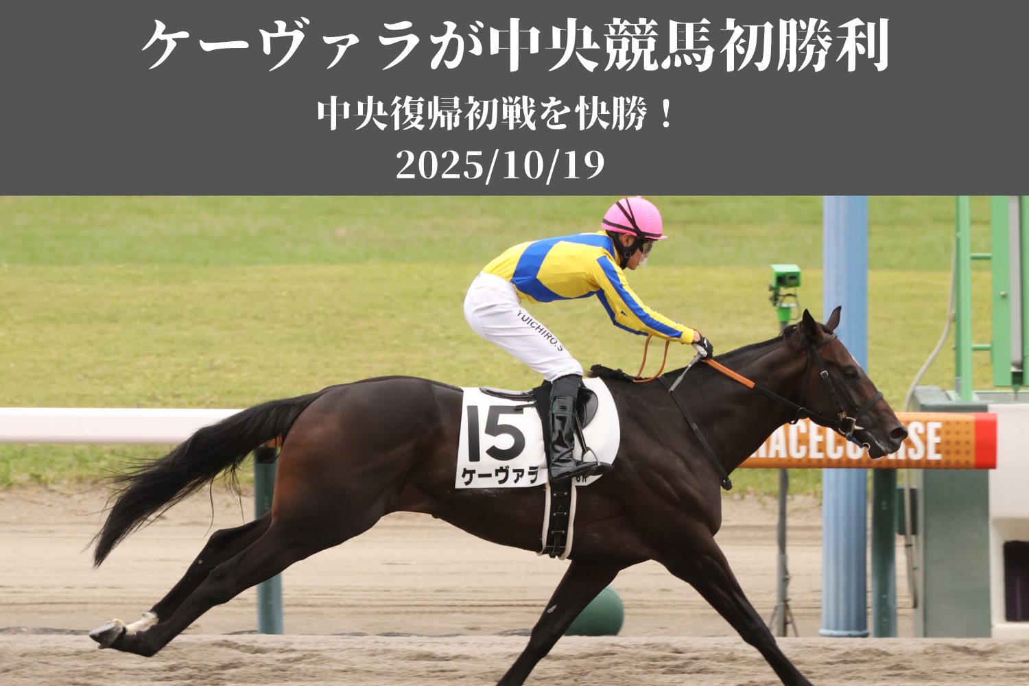 トップカルーセル 8
