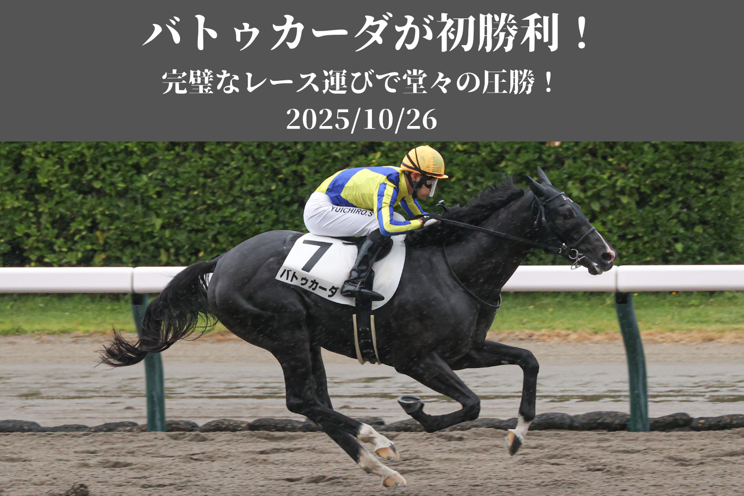 トップカルーセル 7