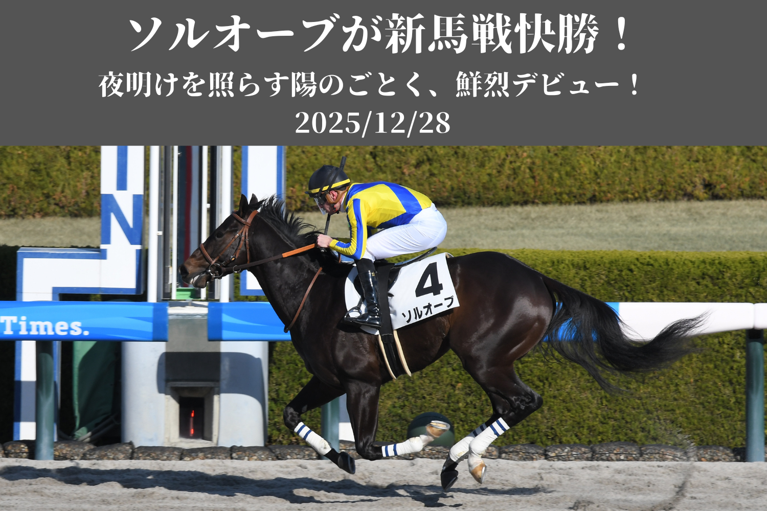 トップカルーセル 5