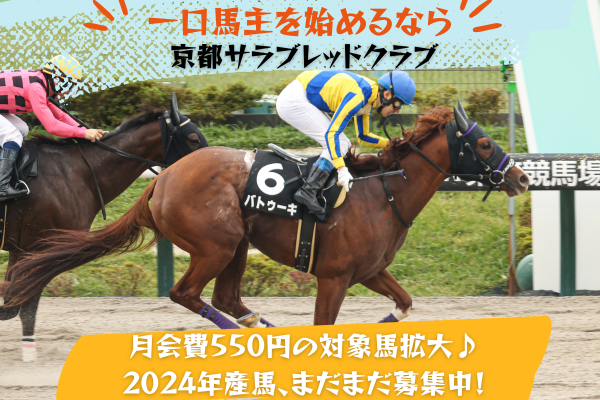 トップカルーセル 1